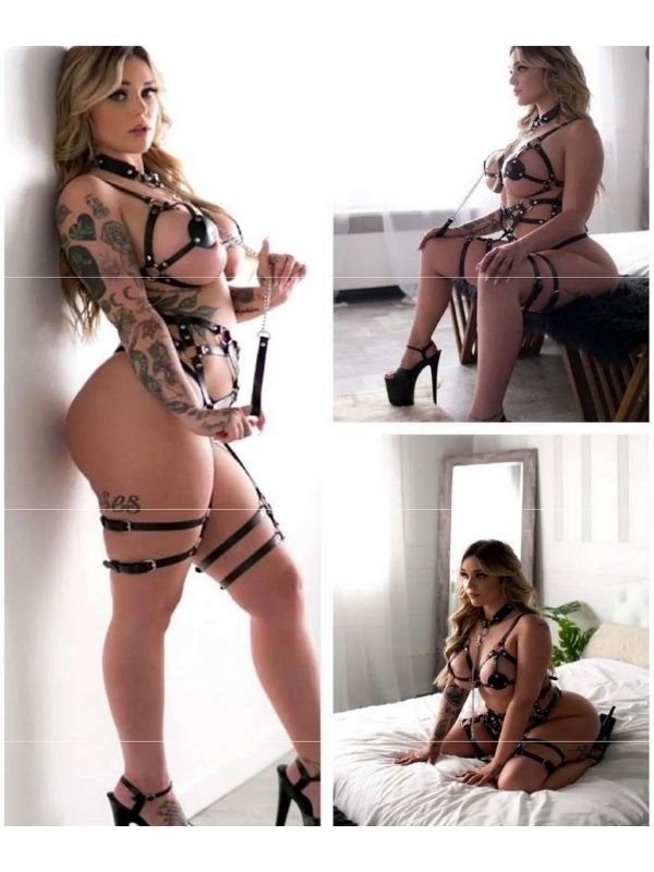 Boyun Tasmalı Harness Set 1