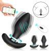 Big Boat Anchor Swing – Telefon Kontrollü Titreşimli Anal Plug (Siyah) 6