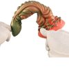 Kırmızı Yeşil Canavar Dildo Model 5 8