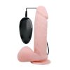 Baile Oliver 9.5 İnç Vibratör BW-008017ARSY 7