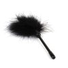 Chisa Novelties Senuelo Pleasure Feather Tickler 9