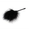 Chisa Novelties Senuelo Pleasure Feather Tickler 10