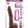 James Deen Swing Hareketli 21.5cm Zenci Vibratör 4