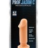 Prof. Jason Slim Anal Tıkaç - Plug 4